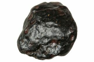 Carbonaceous Chondrite Meteorite ( g) - NWA #334499