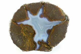 Colorful Polished Thunderegg Half - Nevada #337771