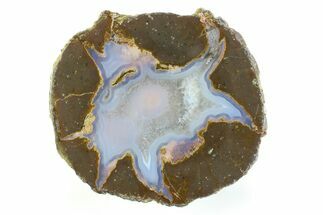 Colorful Polished Thunderegg Half - Nevada #337800