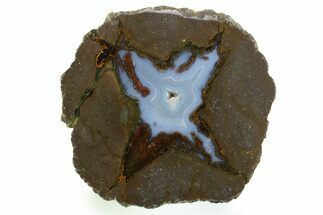 Colorful Polished Thunderegg Half - Nevada #337804