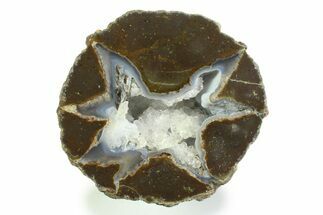 Colorful Polished Thunderegg Half - Nevada #337863