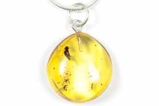 Polished Baltic Amber Pendant (Necklace) - Contains Fly! #357927