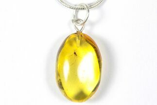 Polished Baltic Amber Pendant (Necklace) - Contains Fly! #357931