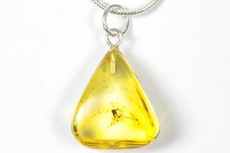 Polished Baltic Amber Pendant (Necklace) - Contains Insect! #357935