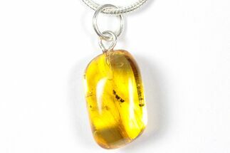 Polished Baltic Amber Pendant (Necklace) - Contains Ant! #357950