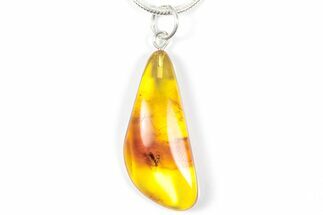 Polished Baltic Amber Pendant (Necklace) - Contains Wasp & Fly! #357955