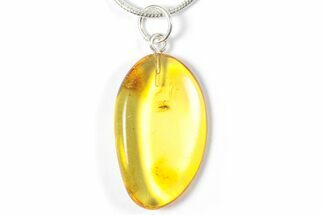 Polished Baltic Amber Pendant (Necklace) - Contains Fly! #357959