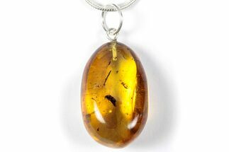 Polished Baltic Amber Pendant (Necklace) - Contains Insects! #357961