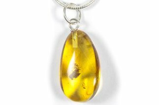 Polished Baltic Amber Pendant (Necklace) - Contains Insect! #357963
