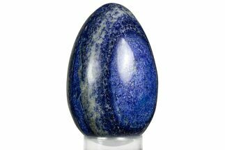 Polished Lapis Lazuli Egg - Pakistan #352561