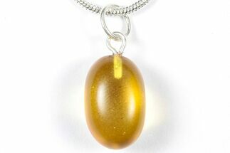 Polished Baltic Amber Pendant (Necklace) - Contains Fly! #357988
