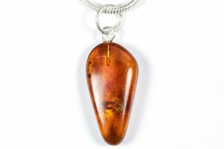 Polished Baltic Amber Pendant (Necklace) - Contains Flies! #357990