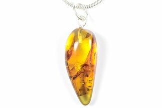 Polished Baltic Amber Pendant (Necklace) - Contains Fly! #357994