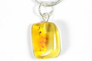 Polished Baltic Amber Pendant (Necklace) - Contains Flies! #358000