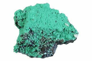 Blue-Green Botryoidal Chrysocolla - Planet Mine, Arizona #358225