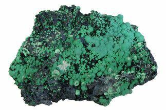 Blue-Green Botryoidal Chrysocolla - Planet Mine, Arizona #358240
