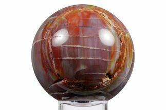 Rainbow Colored, Polished Petrified Wood Sphere - Arizona #358479