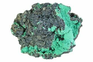 Blue-Green Botryoidal Chrysocolla - Planet Mine, Arizona #358299
