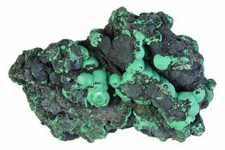 Blue-Green Botryoidal Chrysocolla - Planet Mine, Arizona #358301
