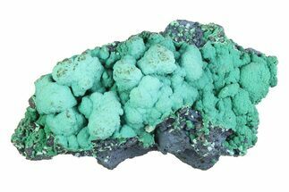 Blue-Green Botryoidal Chrysocolla - Planet Mine, Arizona #358312