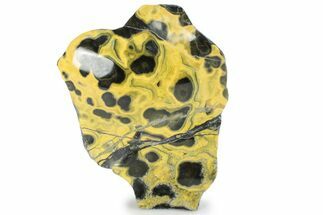 Very Vibrant, Polished Bumblebee Jasper #358626