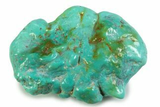 Polished Chilean Turquoise ( grams) Nugget #358829