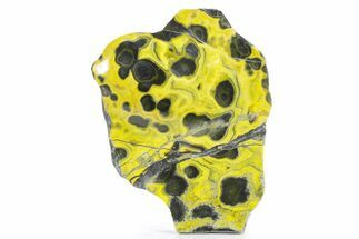 Very Vibrant, Polished Bumblebee Jasper #358626