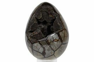 Septarian Dragon Egg Geode - Sparkly Black Crystals #359073