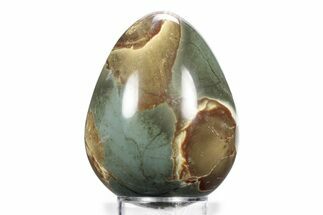 Polished Polychrome Jasper Egg - Madagascar #359034
