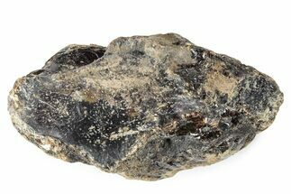 Rough Blue Indonesian Amber - Indonesia #359615