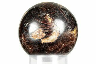 Polished Almandine Garnet Sphere - India #359914