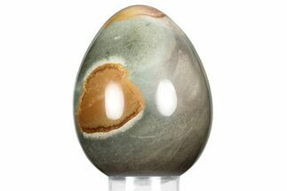 Polished Polychrome Jasper Egg - Madagascar #359070
