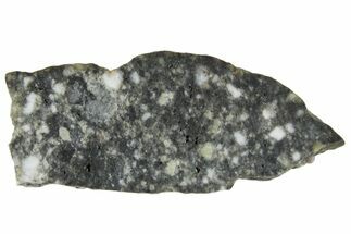 Polished Lunar Meteorite ( g) Slice - Aridal #360140