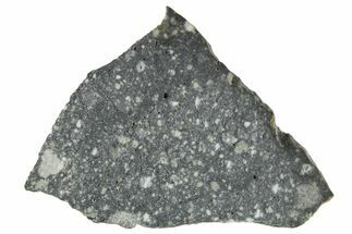 Polished Lunar Meteorite ( g) Slice - Aridal #360165