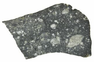 Polished Lunar Meteorite ( g) Slice - Aridal #360166