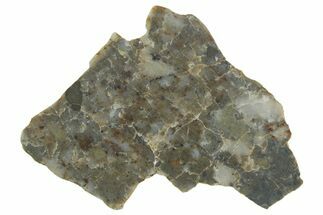 Lunar Meteorite ( g) Slice - Laayoune #360207