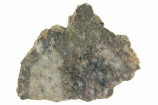 Lunar Meteorite ( g) Slice - Laayoune #360208