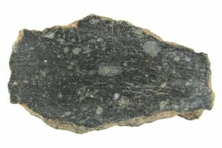 Polished Lunar Meteorite ( g) Section - NWA #360235