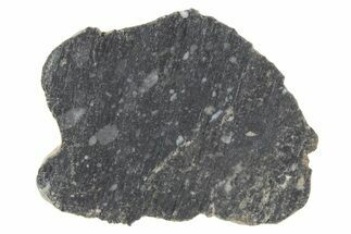 Polished Lunar Meteorite ( g) Section - NWA #360238