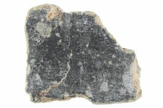Polished Lunar Meteorite ( g) Section - NWA #360239