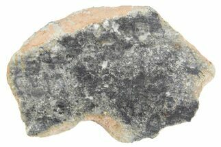 Polished Lunar Meteorite ( g) Section - NWA #360241