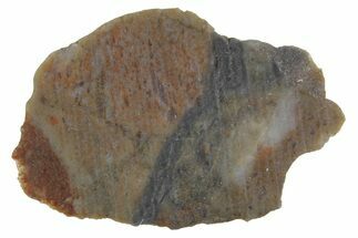 Lunar Meteorite Slice ( g) - NWA #360321