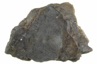 Lunar Meteorite Slice ( g) - NWA #360329