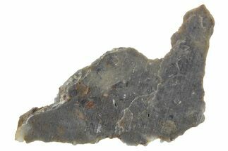 Lunar Meteorite Slice ( g) - NWA #360334