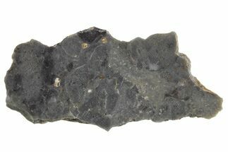 Lunar Meteorite Slice ( g) - NWA #360341