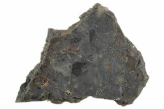 Lunar Meteorite Slice ( g) - NWA #360357