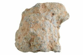 Lunar Meteorite ( g) - Bechar #360385