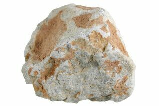 Bechar 003 Meteorites For Sale