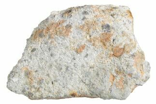 Lunar Meteorite ( g) - Bechar #360423