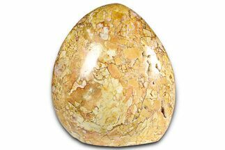 Free-Standing Polished Brecciated Polychrome Jasper - Madagascar #360480